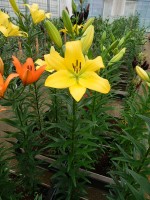 [5589 VH19 No01.JPG]